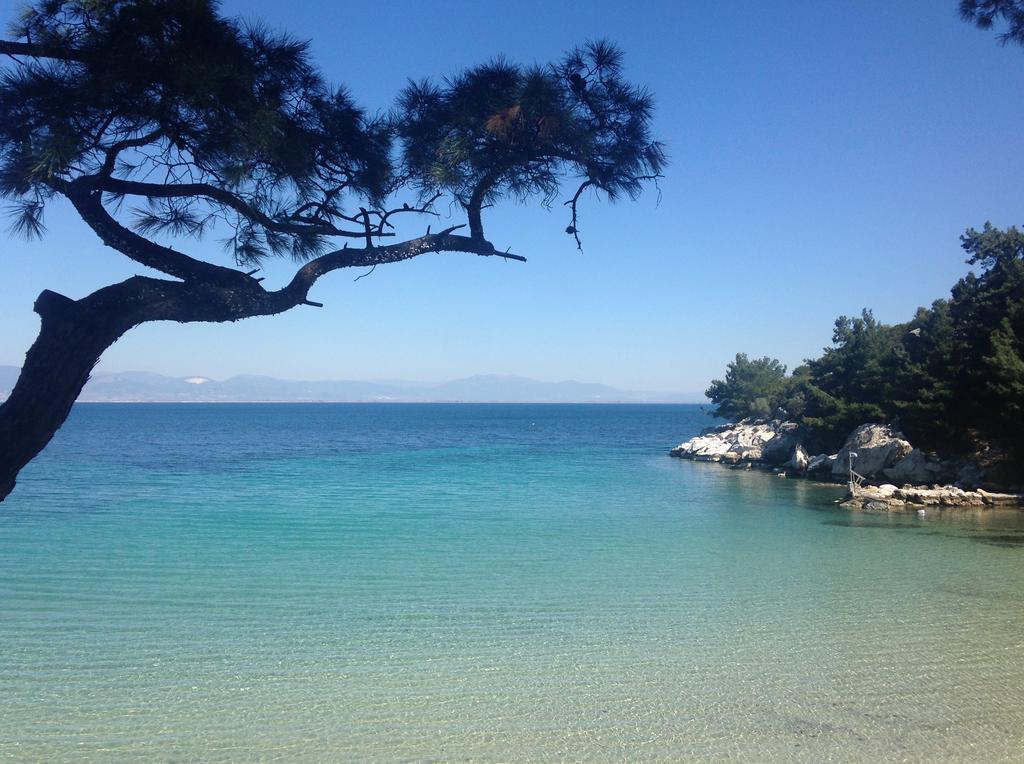 Armonia Villas Skala Rachoni  Dış mekan fotoğraf